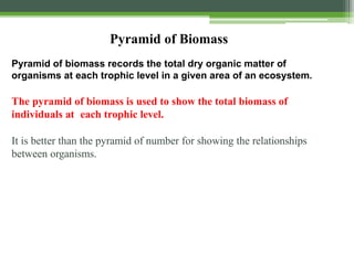 Pyramid of Biomass
Pyramid of biomass records the total dry organic matter of
organisms at each trophic level in a given area of an ecosystem.
The pyramid of biomass is used to show the total biomass of
individuals at each trophic level.
It is better than the pyramid of number for showing the relationships
between organisms.
 