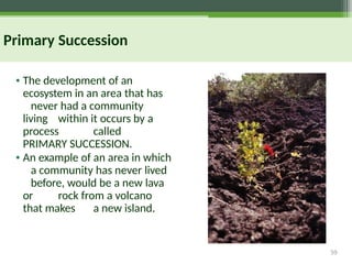 59
Primary Succession
• The development of an
ecosystem in an area that has
never had a community
living within it occurs by a
process called
PRIMARY SUCCESSION.
• An example of an area in which
a community has never lived
before, would be a new lava
or rock from a volcano
that makes a new island.
 