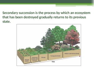 Secondary succession is the process by which an ecosystem
that has been destroyed gradually returns to its previous
state.
 