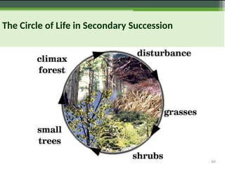 64
The Circle of Life in Secondary Succession
 