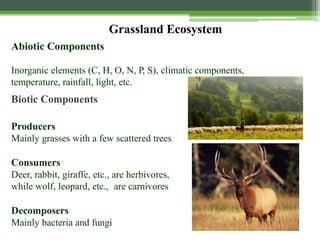 Grassland Ecosystem
Abiotic Components
Inorganic elements (C, H, O, N, P, S), climatic components,
temperature, rainfall, light, etc.
Biotic Components
Producers
Mainly grasses with a few scattered trees
Consumers
Deer, rabbit, giraffe, etc., are herbivores,
while wolf, leopard, etc., are carnivores
Decomposers
Mainly bacteria and fungi
 