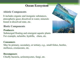 Ocean Ecosystem
Abiotic Components
It includes organic and inorganic substances,
atmospheric gases dissolved in water, minerals
found in dissolved state, etc.
Biotic Components
Producers
Submerged floating and emergent aquatic plants
For example, nelumbo, hydrilla, chara, etc.
Consumers
May be primary, secondary, or tertiary, e.g., small fishes, beetles,
mollusca, crustaceans, etc.
Decomposers
Chiefly bacteria, actinomycetes, fungi, etc.
 