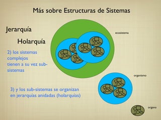 Más sobre Estructuras de Sistemas Jerarquía Holarquía 3) y los sub-sistemas se organizan  en jerarquías anidadas (holarquías) 2) los sistemas complejos  tienen a su vez sub-sistemas organo organismo  ecosistema 