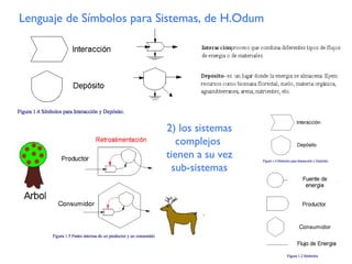 Lenguaje de Símbolos para Sistemas, de H.Odum 2) los sistemas complejos  tienen a su vez sub-sistemas 