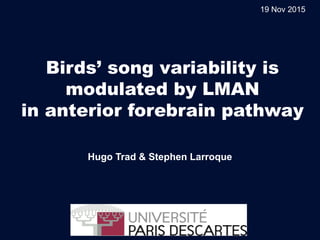 Birds’ song variability is
modulated by LMAN
in anterior forebrain pathway
Hugo Trad & Stephen Larroque
19 Nov 2015
 