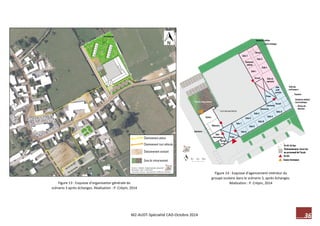 36 M2-AUDT-Spécialité CAD-Octobre 2014 
Figure 14 : Esquisse d’agencement intérieur du groupe scolaire dans le scénario 3, après échanges. Réalisation : P. Crépin, 2014 
Figure 13 : Esquisse d’organisation générale du scénario 3 après échanges. Réalisation : P. Crépin, 2014 
 