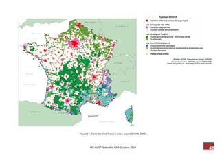 48 M2-AUDT-Spécialité CAD-Octobre 2014 
Figure 17 : Carte des trois France rurales, source DATAR, 2003. 
 