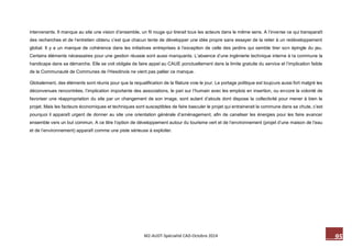 95 M2-AUDT-Spécialité CAD-Octobre 2014 
intervenants. Il manque au site une vision d’ensemble, un fil rouge qui tirerait tous les acteurs dans le même sens. A l’inverse ce qui transparaît des recherches et de l’entretien obtenu c’est que chacun tente de développer une idée propre sans essayer de la relier à un redéveloppement global. Il y a un manque de cohérence dans les initiatives entreprises à l’exception de celle des jardins qui semble tirer son épingle du jeu. Certains éléments nécessaires pour une gestion réussie sont aussi manquants. L’absence d’une ingénierie technique interne à la commune la handicape dans sa démarche. Elle se voit obligée de faire appel au CAUE ponctuellement dans la limite gratuite du service et l’implication faible de la Communauté de Communes de l’Hesdinois ne vient pas pallier ce manque. 
Globalement, des éléments sont réunis pour que la requalification de la filature voie le jour. Le portage politique est toujours aussi fort malgré les déconvenues rencontrées, l’implication importante des associations, le pari sur l’humain avec les emplois en insertion, ou encore la volonté de favoriser une réappropriation du site par un changement de son image, sont autant d’atouts dont dispose la collectivité pour mener à bien le projet. Mais les facteurs économiques et techniques sont susceptibles de faire basculer le projet qui entrainerait la commune dans sa chute, c’est pourquoi il apparaît urgent de donner au site une orientation générale d’aménagement, afin de canaliser les énergies pour les faire avancer ensemble vers un but commun. A ce titre l’option de développement autour du tourisme vert et de l’environnement (projet d’une maison de l’eau et de l’environnement) apparaît comme une piste sérieuse à exploiter.  