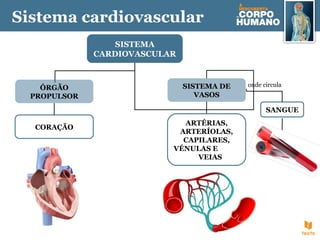 SISTEMA
CARDIOVASCULAR
ÓRGÃO
PROPULSOR
CORAÇÃO
SISTEMA DE
VASOS
ARTÉRIAS,
ARTERÍOLAS,
CAPILARES,
VÉNULAS E
VEIAS
SANGUE
onde circula
Sistema cardiovascular
 