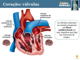 Válvula
tricúspide
Válvula
bicúspide
Válvula
semilunar da
artéria
pulmonar
Válvula
semilunar da
artéria aorta
As válvulas existentes
no coração asseguram
um fluxo
unidirecional, ou
seja, impedem que haja
um retrocesso de
sangue.
Coração: válvulas
 