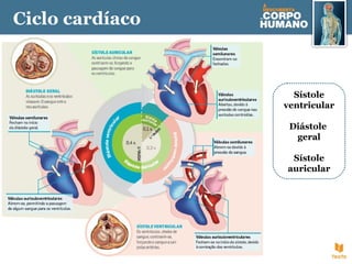 Sístole
ventricular
Diástole
geral
Sístole
auricular
Ciclo cardíaco
 