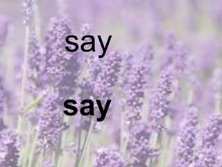 say
say
 