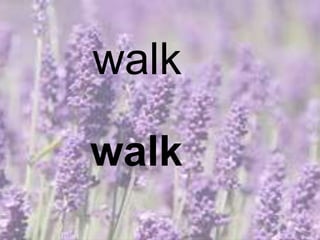 walk
walk
 