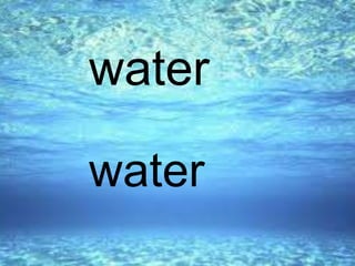 water
water
 