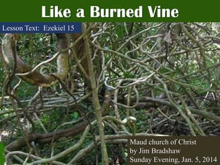 Like a Burned Vine
Lesson Text: Ezekiel 15

Maud church of Christ
by Jim Bradshaw
Sunday Evening, Jan. 5, 2014

 