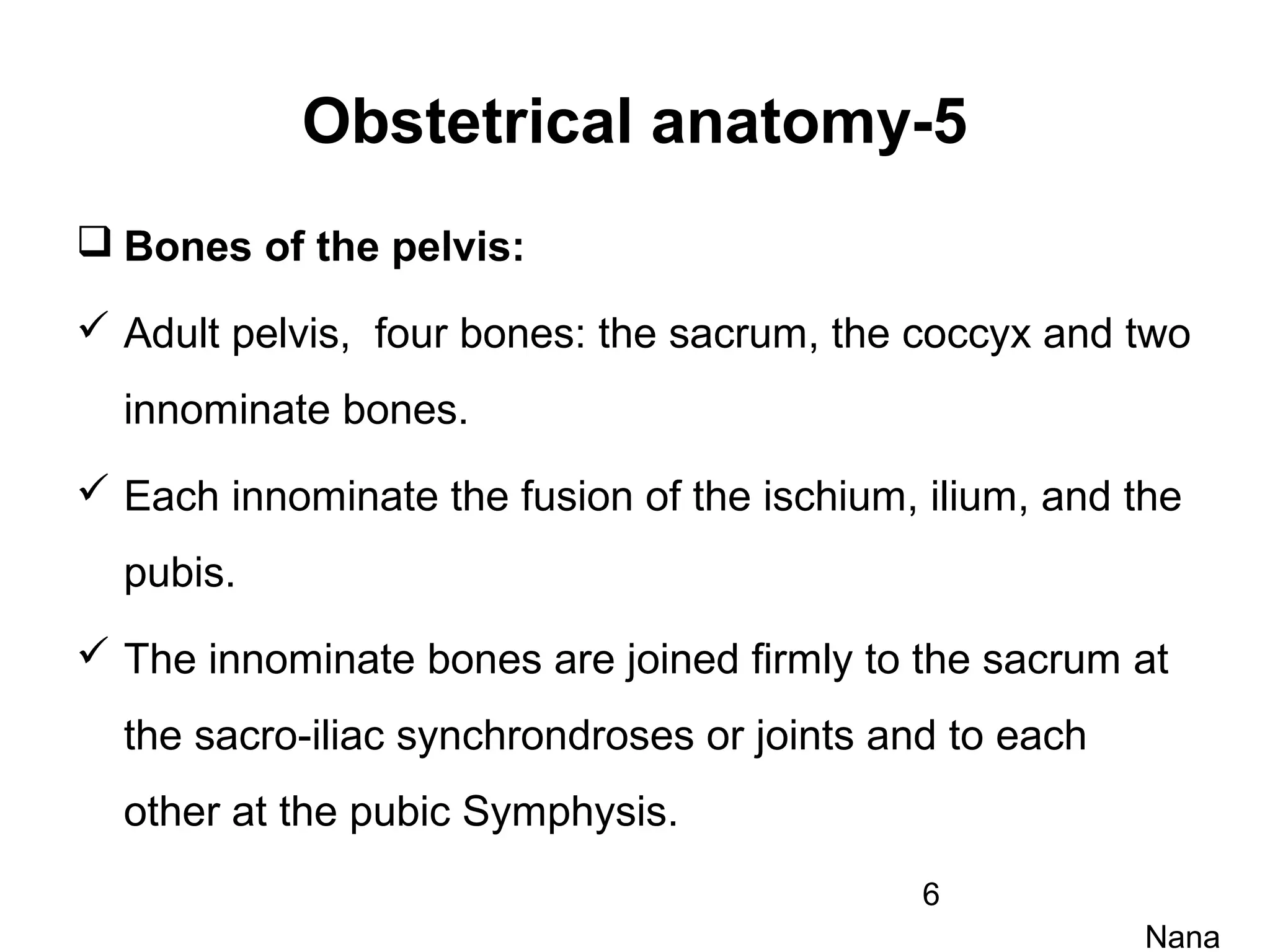 M2 2009 obstetrical anatomy (3) | PPT