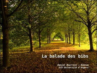 La balade des bibs
      Daniel Bourrion – Bibnum
       SCD Université d'Angers
 