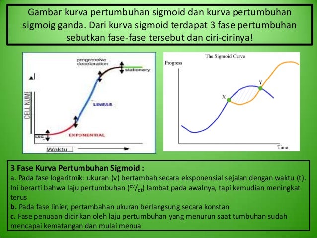 M23 kelompok 7 pertumbuhan dan perkembangan tanaman