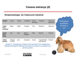Identificació i actuació davant
urgències digestives
Simptomatologia de l’obstrucció intestinal
Juan Benítez 11
Cossos estranys (II)
10/07/2015
M'empasso
la piloteta
de tenis o
no?
Quadre 3 . Símptomes d’obstrucció intestinal. Font: Adaptat de
Mendoza Sariego M. Manual de primeros auxilios y emergencia en
perros y gatos.
 