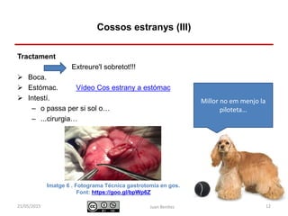 Identificació i actuació davant
urgències digestives
Tractament
Extreure'l sobretot!!!
 Boca.
 Estómac. Vídeo Cos estrany a estómac
 Intestí.
– o passa per si sol o…
– ...cirurgia…
Juan Benítez 12
Cossos estranys (III)
10/07/2015
Imatge 6 . Fotograma Técnica gastrotomia en gos.
Font: https://goo.gl/bpWp6Z
Millor no em menjo la
piloteta…
 