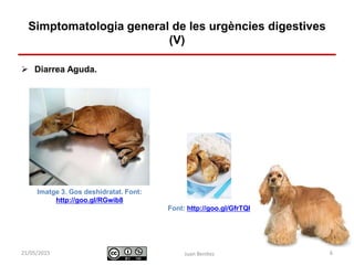 Identificació i actuació davant
urgències digestives
 Diarrea Aguda.
Juan Benítez 6
Simptomatologia general de les urgències digestives
(V)
10/07/2015
Imatge 3. Gos deshidratat. Font:
http://goo.gl/RGwib8
Font: http://goo.gl/GfrTQI
 