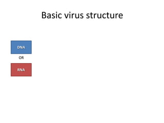 DNA
RNA
OR
Basic virus structure
DNA
RNA
OR
 