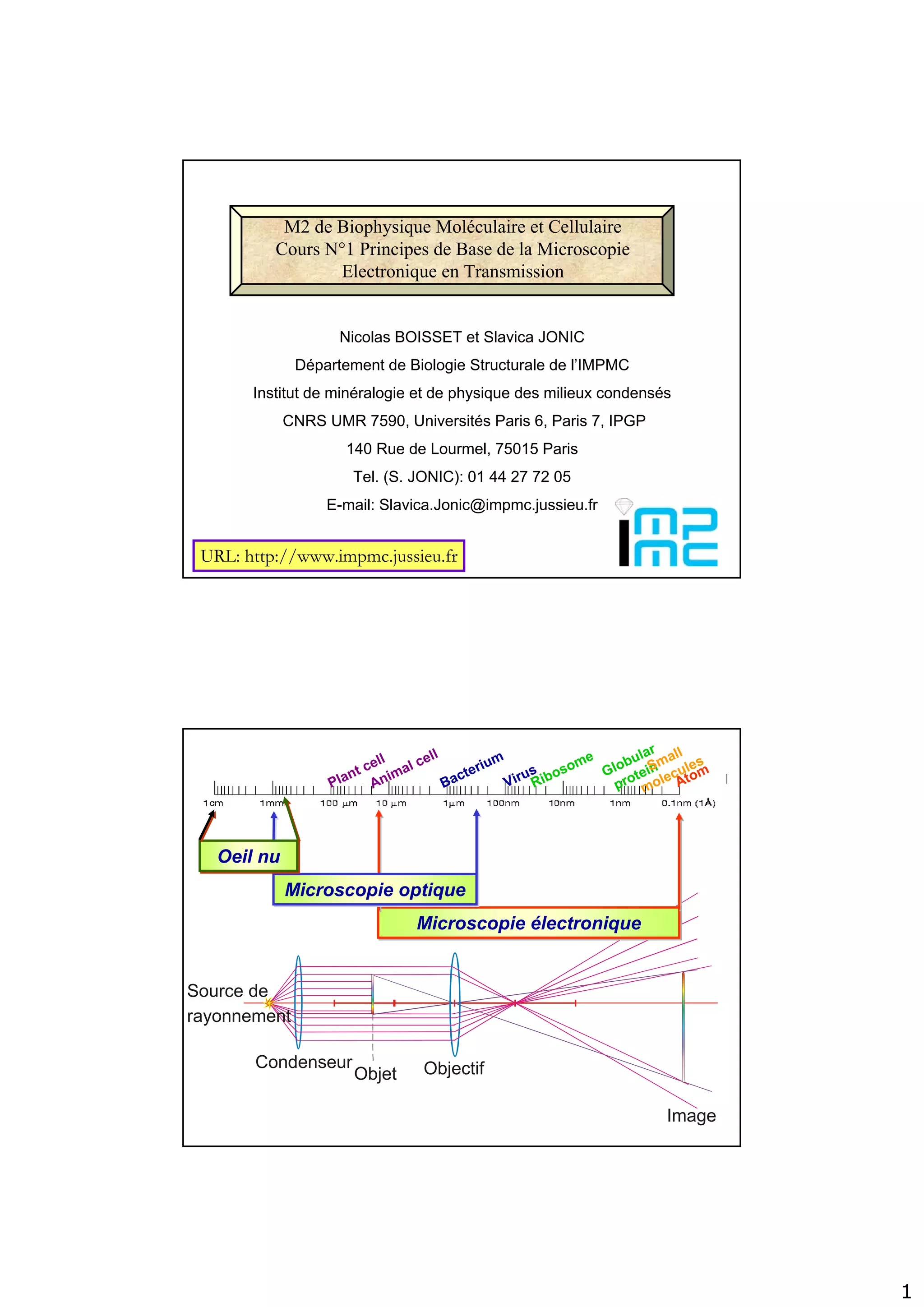 1
M2 de Biophysique Moléculaire et Cellulaire
Cours N°1 Principes de Base de la Microscopie
Electronique en Transmission
URL: http://www.impmc.jussieu.fr
Nicolas BOISSET et Slavica JONIC
Département de Biologie Structurale de l’IMPMC
Institut de minéralogie et de physique des milieux condensés
CNRS UMR 7590, Universités Paris 6, Paris 7, IPGP
140 Rue de Lourmel, 75015 Paris
Tel. (S. JONIC): 01 44 27 72 05
E-mail: Slavica.Jonic@impmc.jussieu.fr
Bacterium
Animal cell
Ribosome
Virus Globular
protein
Plant cell
AtomSmall
molecules
Objet
Image
ObjectifCondenseur
Source de
rayonnement
Microscopie électroniqueMicroscopie électronique
Microscopie optiqueMicroscopie optique
Oeil nuOeil nu
 