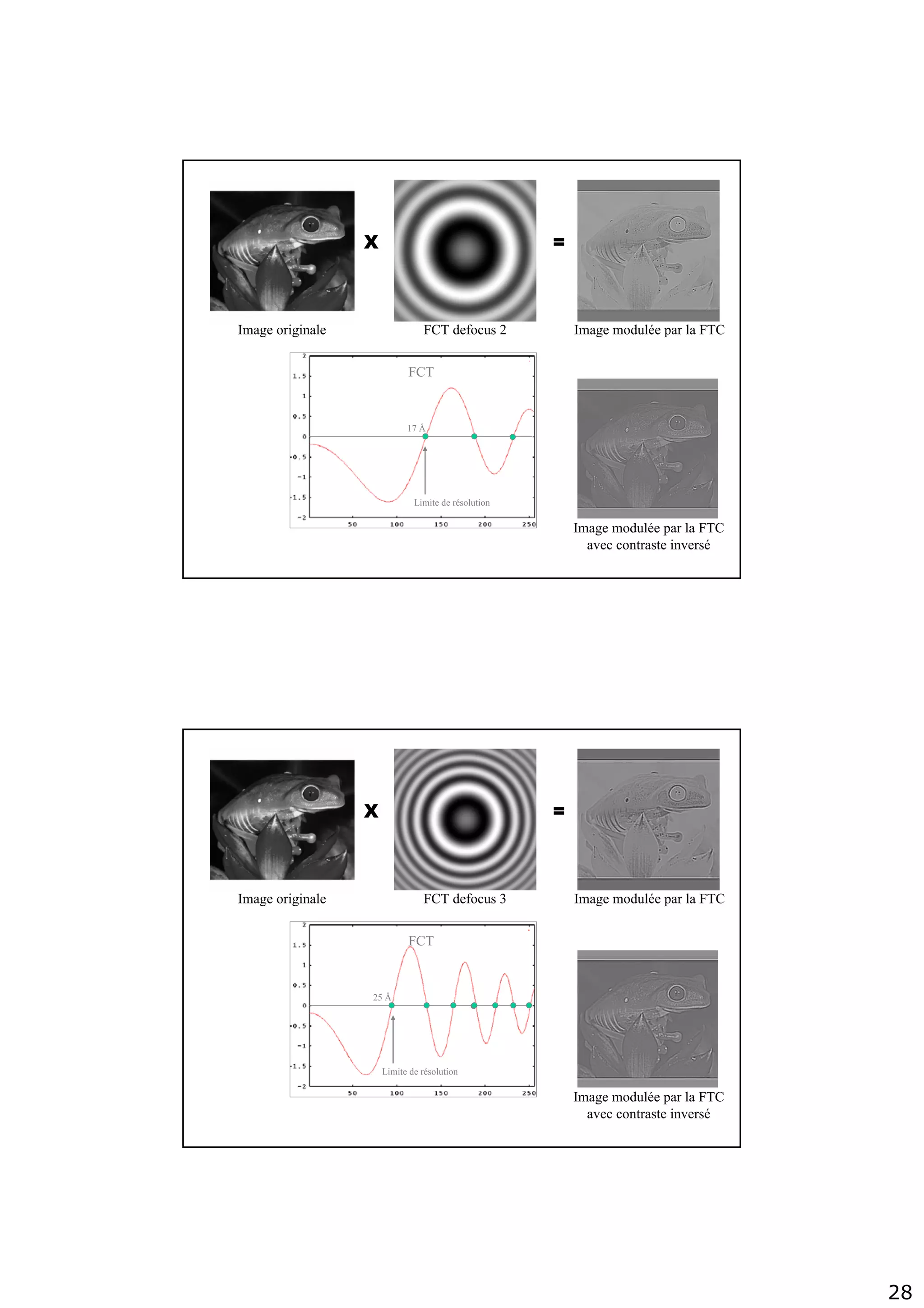 28
Image originale FCT defocus 2 Image modulée par la FTC
Image modulée par la FTC
avec contraste inversé
X =
Limite de résolution
FCT
17 Å
Image originale FCT defocus 3 Image modulée par la FTC
X =
Limite de résolution
FCT
25 Å
Image modulée par la FTC
avec contraste inversé
 