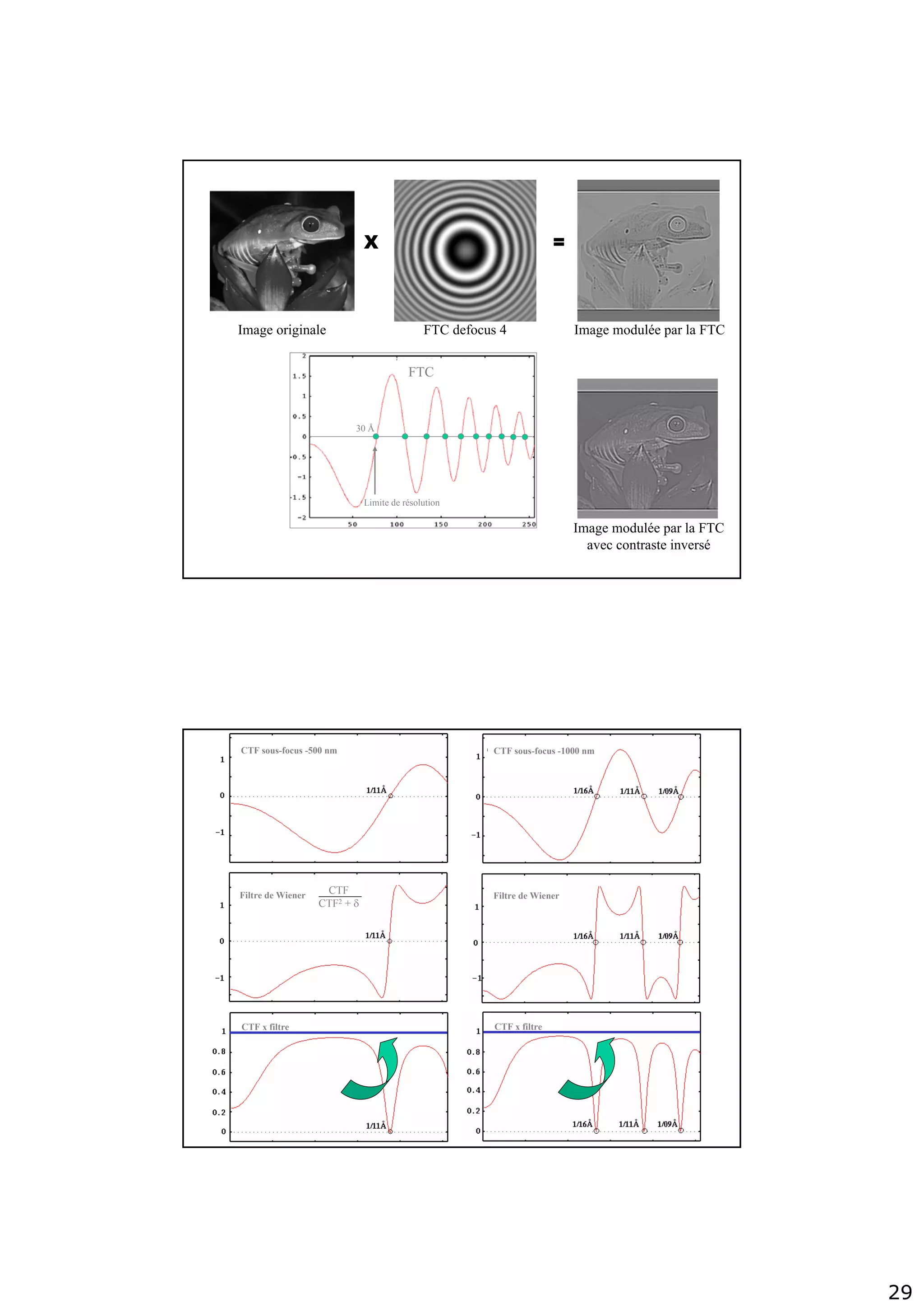 29
Image originale FTC defocus 4 Image modulée par la FTC
X =
Limite de résolution
FTC
30 Å
Image modulée par la FTC
avec contraste inversé
CTF
CTF2 + δ
CTF sous-focus -500 nm CTF sous-focus -1000 nm
Filtre de Wiener Filtre de Wiener
CTF x filtre CTF x filtre
 