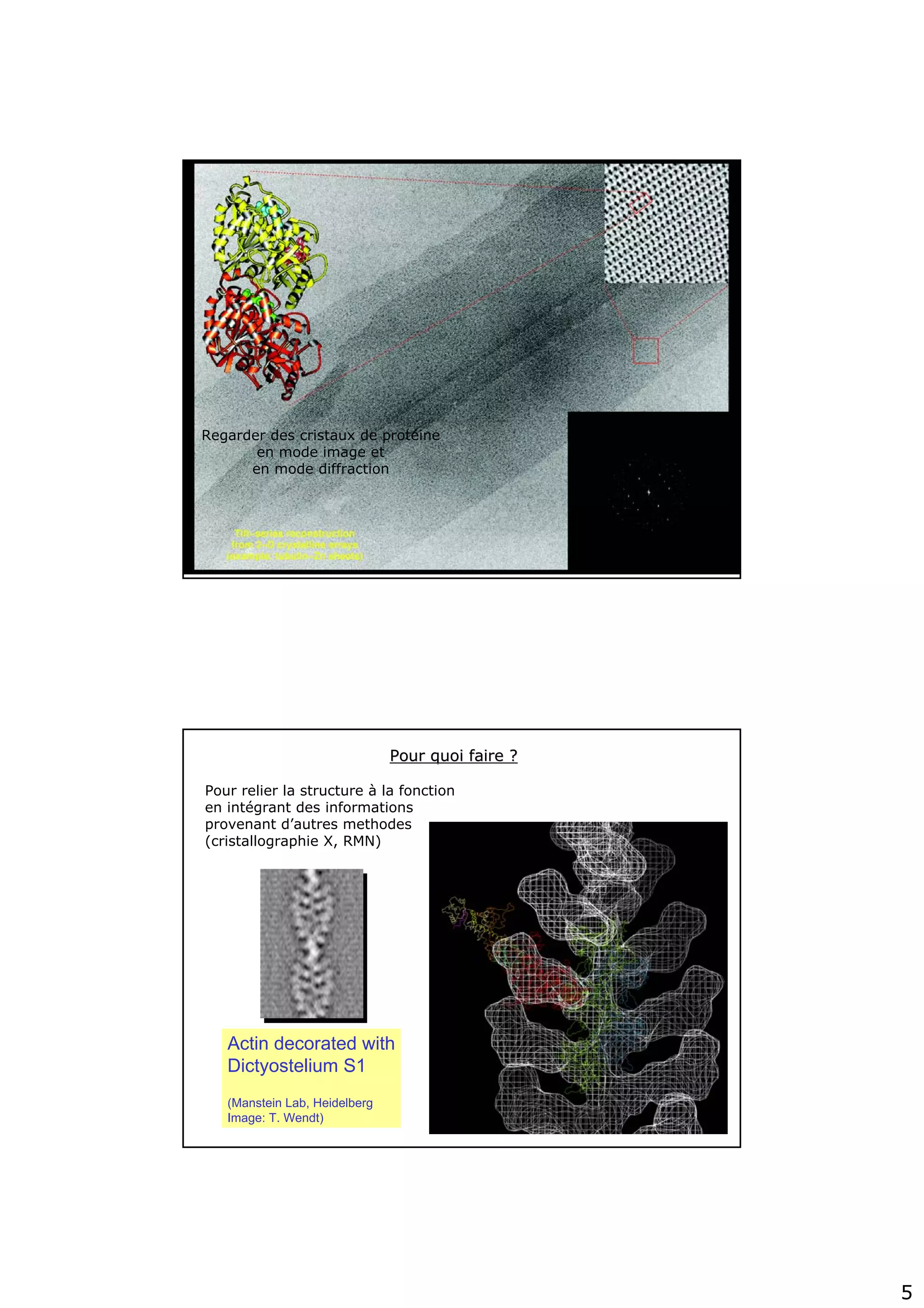 5
Regarder des cristaux de protéine
en mode image et
en mode diffraction
Actin decorated with
Dictyostelium S1
(Manstein Lab, Heidelberg
Image: T. Wendt)
Pour quoi faire ?Pour quoi faire ?
Pour relier la structure à la fonction
en intégrant des informations
provenant d’autres methodes
(cristallographie X, RMN)
 