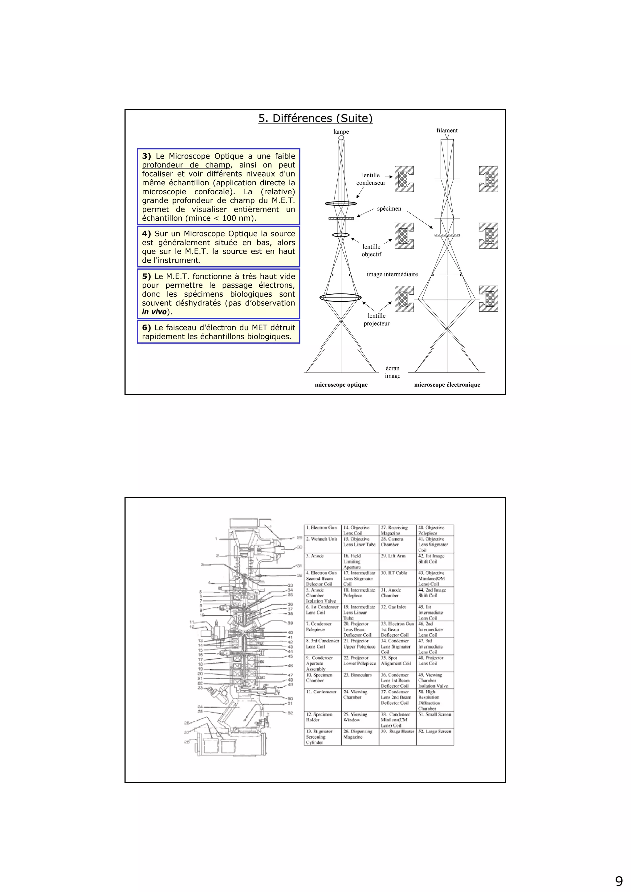 9
3) Le Microscope Optique a une faible
profondeur de champ, ainsi on peut
focaliser et voir différents niveaux d'un
même échantillon (application directe la
microscopie confocale). La (relative)
grande profondeur de champ du M.E.T.
permet de visualiser entièrement un
échantillon (mince < 100 nm).
lampe filament
lentille
condenseur
spécimen
lentille
objectif
lentille
projecteur
image intermédiaire
écran
image
microscope optique microscope électronique
5. Diff5. Difféérences (Suite)rences (Suite)
4) Sur un Microscope Optique la source
est généralement située en bas, alors
que sur le M.E.T. la source est en haut
de l'instrument.
5) Le M.E.T. fonctionne à très haut vide
pour permettre le passage électrons,
donc les spécimens biologiques sont
souvent déshydratés (pas d’observation
in vivo).
6) Le faisceau d'électron du MET détruit
rapidement les échantillons biologiques.
 