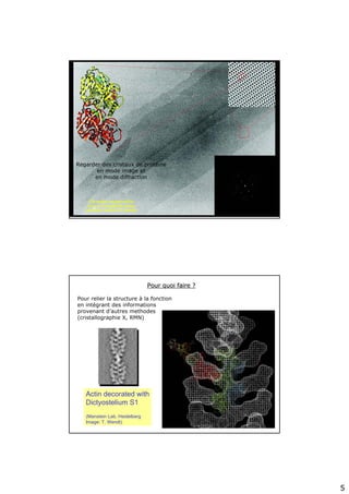 5
Regarder des cristaux de protéine
en mode image et
en mode diffraction
Actin decorated with
Dictyostelium S1
(Manstein Lab, Heidelberg
Image: T. Wendt)
Pour quoi faire ?Pour quoi faire ?
Pour relier la structure à la fonction
en intégrant des informations
provenant d’autres methodes
(cristallographie X, RMN)
 