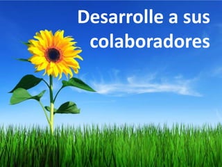 Desarrolle a sus colaboradores
