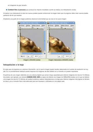 en imágenes de gran tamaño.
Calidad Sinc (Lanczos) que produce los mejores resultados cuando se realiza una interpolación al alza.
Al realizar una interpolación al alza los nuevos píxeles pueden emborronar la imagen dado que el programa debe crear nuevos pixeles
partiendo de los que existían.
Ampliando una parte de la imagen podemos observar la borrosidad que se crea en la nueva imagen:
Interpolación a la baja
En este caso el programa va a eliminar información, con lo que la imagen puede resultar deteriorada si el cambio de resolución es muy
alto. Es un procedimiento habitual cuando dispones de imágenes de alta calidad con un tamaño en píxeles importante.
Si partimos de una imagen obtenida con una cámara digital cuyo sensor tenga capacidad para obtener imágenes de más de 10 millones
de píxeles, (por ejemplo una cámara CANON EOS 40D es capaz de obtener una imagen de 3888x2592 píxeles con lo que se obtiene
una imagen de más de 10 millones de píxeles) podemos realizar interpolaciones a la baja para obtener imágenes más ligeras en tamaño
en disco y de un tamaño físico más adecuado para ser impresas o colocadas en una página web.
 