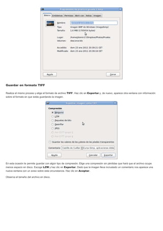 Guardar en formato TIFF
Realiza el mismo proceso y elige el formato de archivo TIFF. Haz clic en Exportar y, de nuevo, aparece otra ventana con información
sobre el formato en que estás guardando la imagen.
En esta ocasión te permite guardar con algún tipo de compresión. Elige una compresión sin pérdidas que hará que el archivo ocupe
menos espacio en disco. Escoge LZW y haz clic en Exportar. Dado que la imagen lleva incrustado un comentario nos aparece una
nueva ventana con un aviso sobre esta circunstancia. Haz clic en Aceptar.
Observa el tamaño del archivo en disco.
 