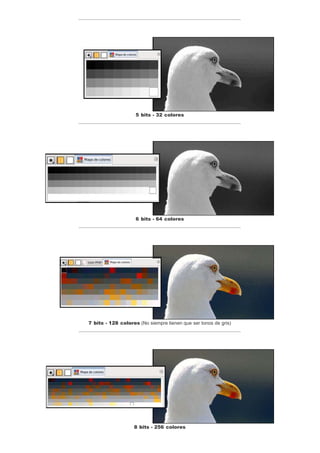 5 bits - 32 colores
6 bits - 64 colores
7 bits - 128 colores (No siempre tienen que ser tonos de gris)
8 bits - 256 colores
 