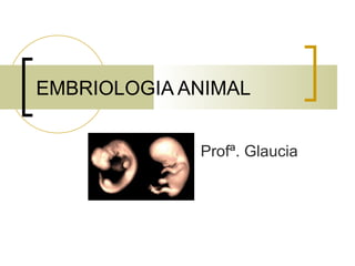 EMBRIOLOGIA ANIMAL


             Profª. Glaucia
 