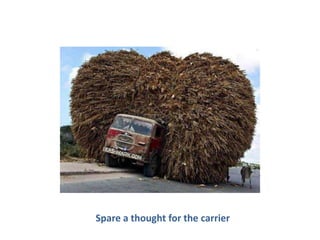 Spare a thought for the carrier
 