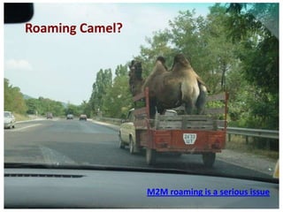 Roaming Camel?




                 M2M roaming is a serious issue
 