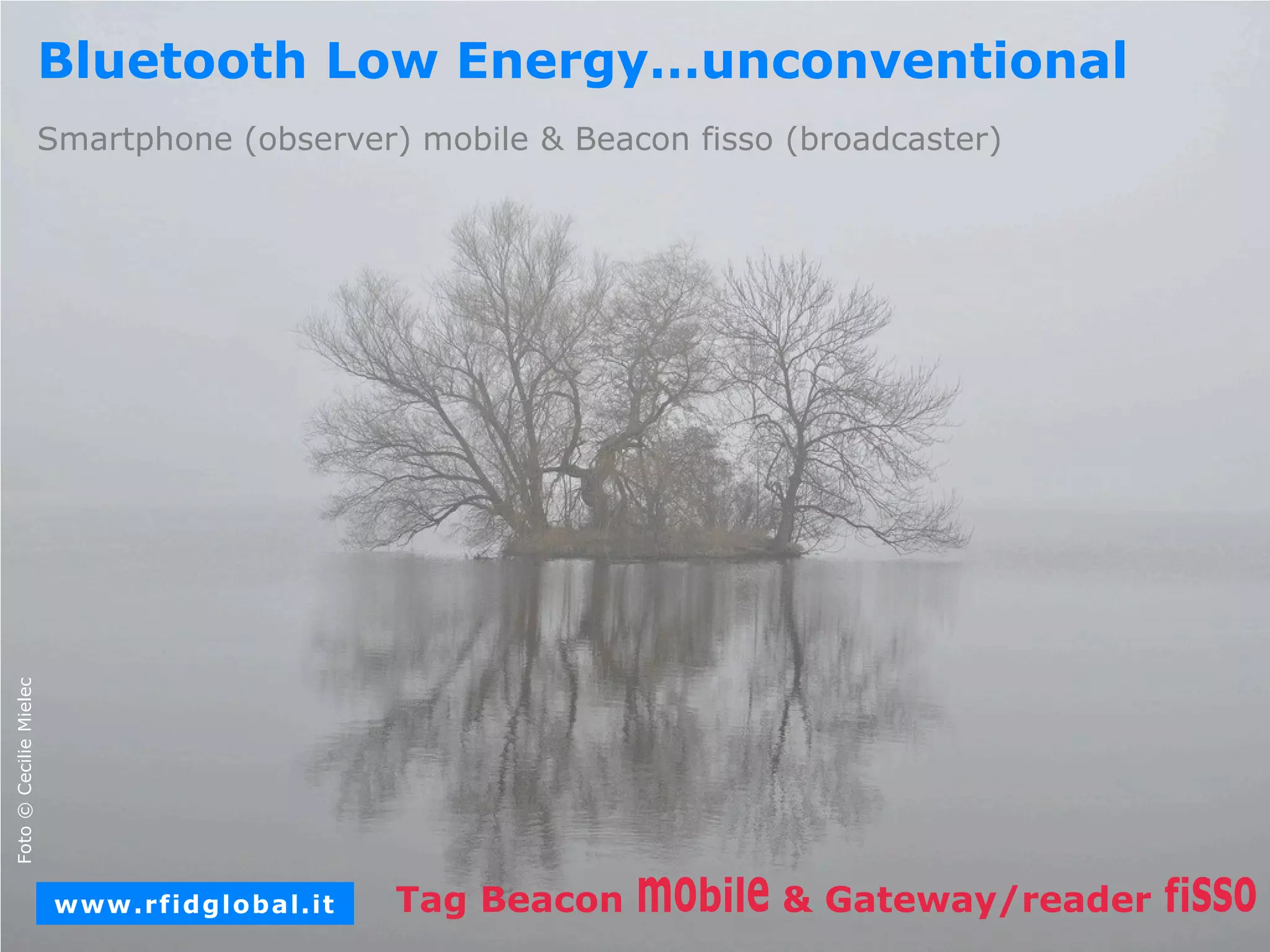 Slide 15