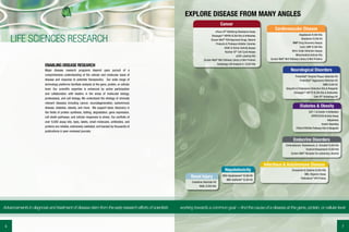 Enzo capabilities brochure | PDF