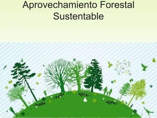 Aprovechamiento Forestal
Sustentable
 