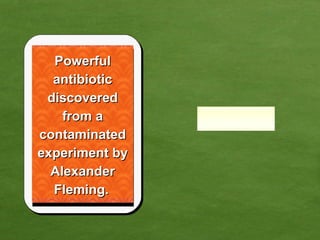 Powerful antibiotic discovered from a contaminated experiment by Alexander Fleming.   