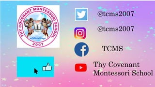 Understanding local networks