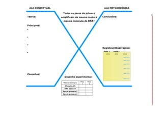 ALA METODOLÓGICA
Todos os pares de primers

Teoria:

amplificam do mesmo modo a

Conclusões:

mesma molécula de DNA?
Princípios:

Registos/Observações:
Pista 1

Conceitos:
Desenho experimental:
Material biológico
DNA alfa-C5
DNA beta-A7
Par de primers 1
Par de primers 2

Pista
1

Pista
2

Pista 2

6

ALA CONCEPTUAL

 