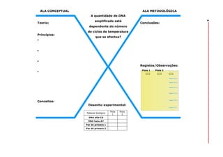 ALA CONCEPTUAL

ALA METODOLÓGICA

Teoria:

Princípios:

amplificado está
dependente do número

Conclusões:

de ciclos de temperatura
que se efectua?

Registos/Observações:
Pista 1

Conceitos:
Desenho experimental:
Material biológico
DNA alfa-C5
DNA beta-A7
Par de primers 1
Par de primers 2

Pista
1

Pista
2

Pista 2

8

A quantidade de DNA

 