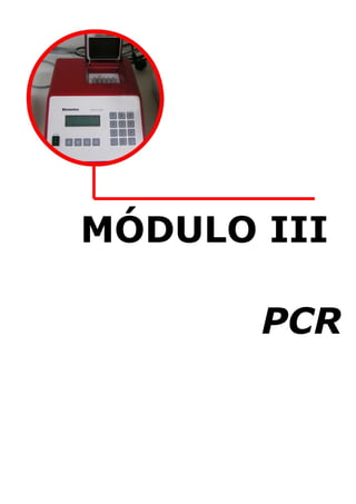 MÓDULO III
PCR

 
