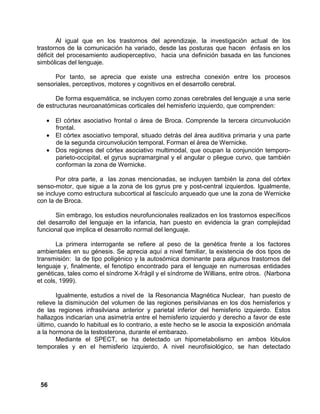56
Al igual que en los trastornos del aprendizaje, la investigación actual de los
trastornos de la comunicación ha variado, desde las posturas que hacen énfasis en los
déficit del procesamiento audioperceptivo, hacia una definición basada en las funciones
simbólicas del lenguaje.
Por tanto, se aprecia que existe una estrecha conexión entre los procesos
sensoriales, perceptivos, motores y cognitivos en el desarrollo cerebral.
De forma esquemática, se incluyen como zonas cerebrales del lenguaje a una serie
de estructuras neuroanatómicas corticales del hemisferio izquierdo, que comprenden:
• El córtex asociativo frontal o área de Broca. Comprende la tercera circunvolución
frontal.
• El córtex asociativo temporal, situado detrás del área auditiva primaria y una parte
de la segunda circunvolución temporal. Forman el área de Wernicke.
• Dos regiones del córtex asociativo multimodal, que ocupan la conjunción temporo-
parieto-occipital, el gyrus supramarginal y el angular o pliegue curvo, que también
conforman la zona de Wernicke.
Por otra parte, a las zonas mencionadas, se incluyen también la zona del córtex
senso-motor, que sigue a la zona de los gyrus pre y post-central izquierdos. Igualmente,
se incluye como estructura subcortical al fascículo arqueado que une la zona de Wernicke
con la de Broca.
Sin embrago, los estudios neurofuncionales realizados en los trastornos específicos
del desarrollo del lenguaje en la infancia, han puesto en evidencia la gran complejidad
funcional que implica el desarrollo normal del lenguaje.
La primera interrogante se refiere al peso de la genética frente a los factores
ambientales en su génesis. Se aprecia aquí a nivel familiar, la existencia de dos tipos de
transmisión: la de tipo poligénico y la autosómica dominante para algunos trastornos del
lenguaje y, finalmente, el fenotipo encontrado para el lenguaje en numerosas entidades
genéticas, tales como el síndrome X-frágil y el síndrome de Willians, entre otros. (Narbona
et cols, 1999).
Igualmente, estudios a nivel de la Resonancia Magnética Nuclear, han puesto de
relieve la disminución del volumen de las regiones perisilvianas en los dos hemisferios y
de las regiones infrasilviana anterior y parietal inferior del hemisferio izquierdo. Estos
hallazgos indicarían una asimetría entre el hemisferio izquierdo y derecho a favor de este
último, cuando lo habitual es lo contrario, a este hecho se le asocia la exposición anómala
a la hormona de la testosterona, durante el embarazo.
Mediante el SPECT, se ha detectado un hipometabolismo en ambos lóbulos
temporales y en el hemisferio izquierdo. A nivel neurofisiológico, se han detectado
 