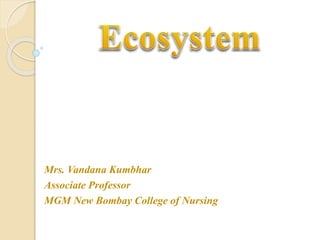 Mrs. Vandana Kumbhar
Associate Professor
MGM New Bombay College of Nursing
 