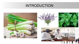 INTRODUCTION
 